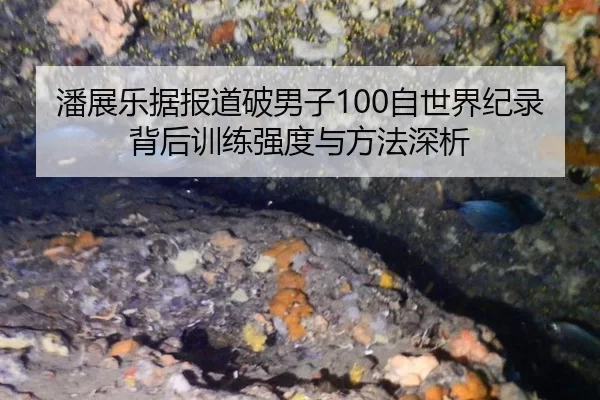 潘展乐据报道破男子100自世界纪录背后训练强度与方法深析