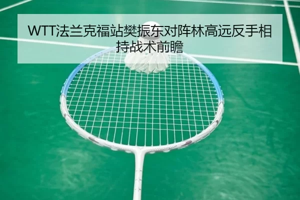 WTT法兰克福站樊振东对阵林高远反手相持战术前瞻